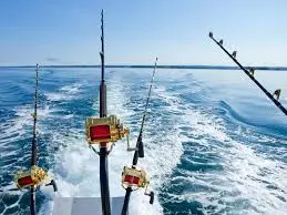 رحلة صيد اقتصادي – نصف يوم